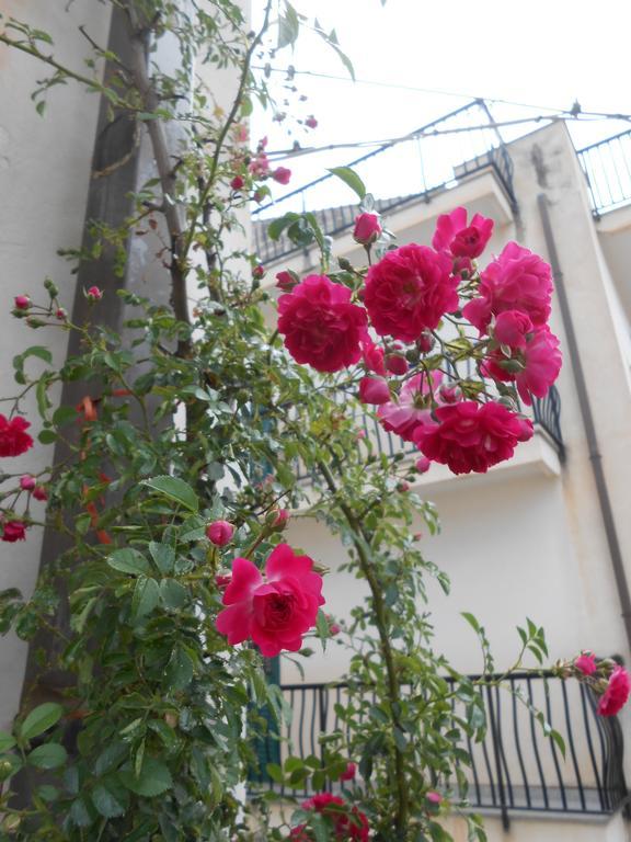 Canton Delle Rose Apartment ชิคลี ภายนอก รูปภาพ